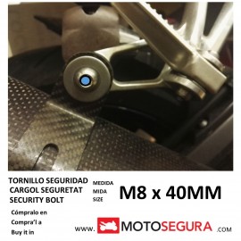 Tornillo de Seguridad para tubo de escape