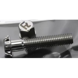 TORNILLO TITANIO ANTIRROBO TUBO M10X50MM 1.25 + LLAVE